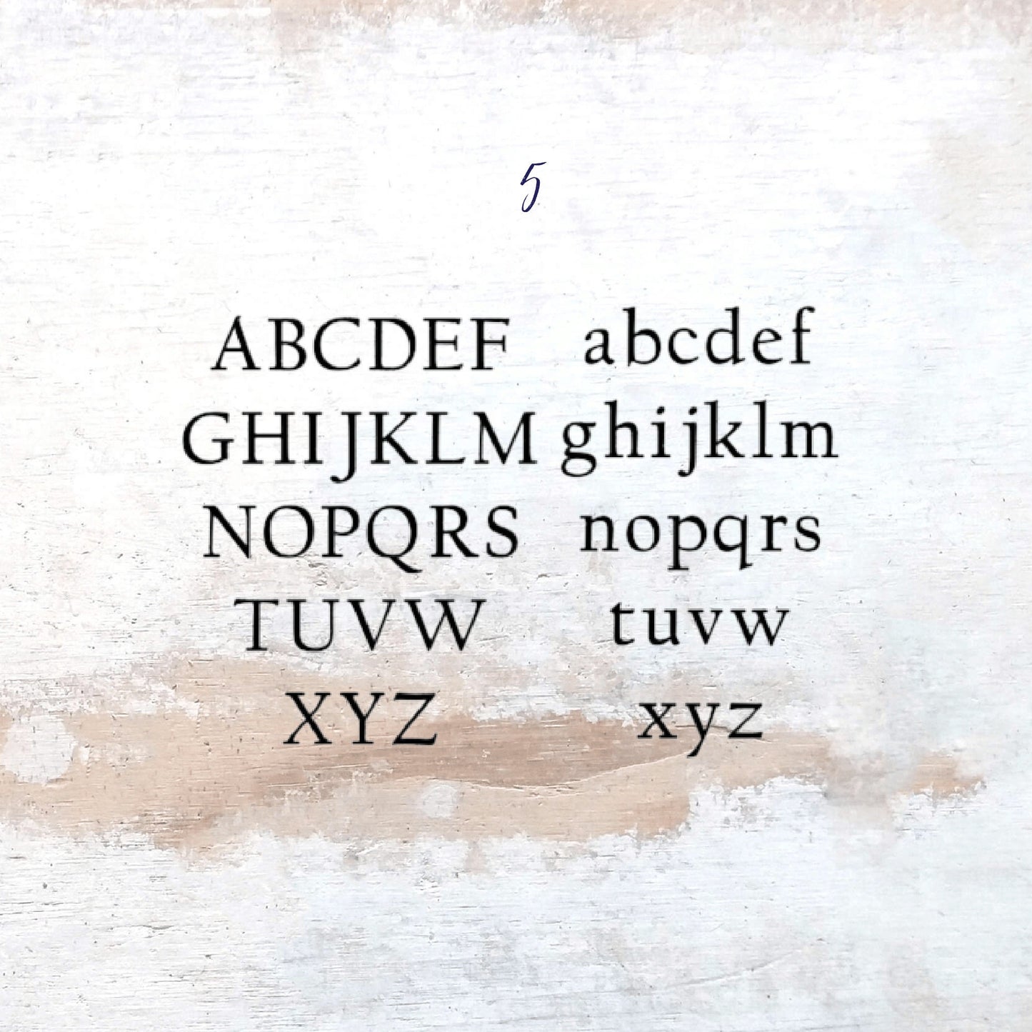 Trophy Shelf and Plaque Display