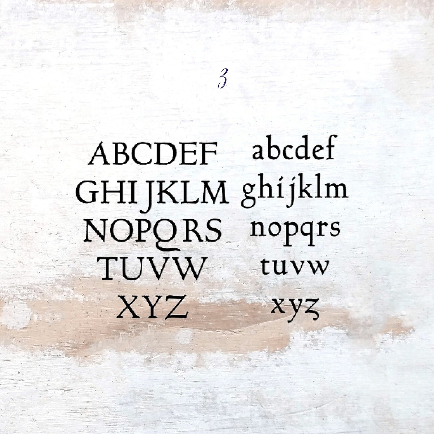 Trophy Shelf and Plaque Display